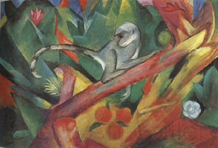 Franz Marc The Monkey (mk34) Norge oil painting art